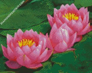 Pink Waterlily diamond painting