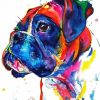 Pitbull Splatter diamond painting