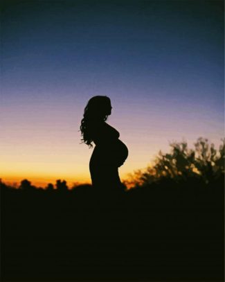 Pregnant Silhouette diamond painting