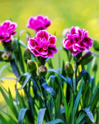 Purple Carnations Flowers diamond painting