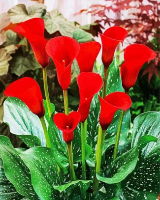 Red Cala Lilly diamond painting