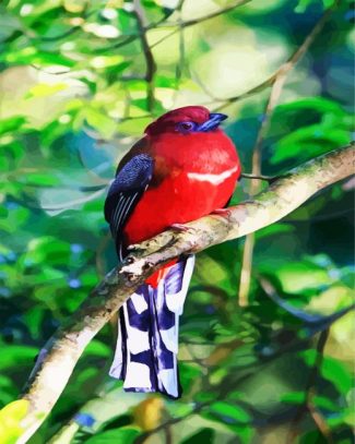 Red Trogon diamond painting