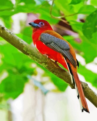 Red Trogon Bird diamond painting