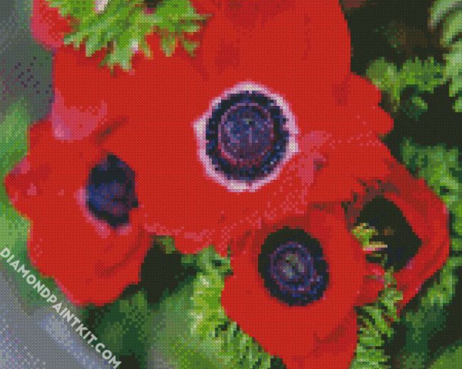 Red Anemones diamond painting