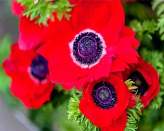 Red Anemones diamond painting