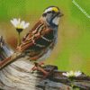 Sparrow Bird And Flowers diamond painting