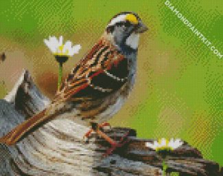 Sparrow Bird And Flowers diamond painting