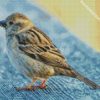 Sparrow Bird Animal diamond painting