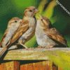 Sparrow Birds diamond painting