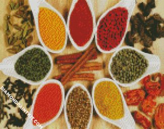 Spices Of Kerala India diamond painting