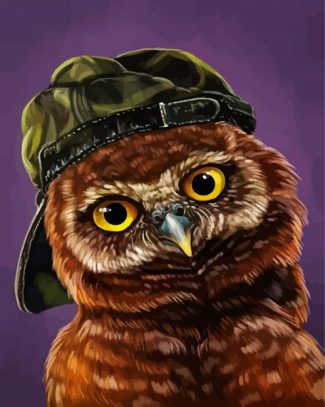 Stylish Owl diamond painting