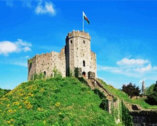 The Cardiff Castle diamond painting