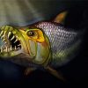 Tigerfish diamond painting