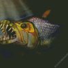 tigerfish diamond painting