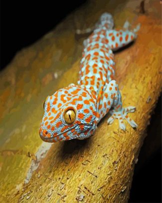 Tokay Gecko Lizard Reptile diamond painting