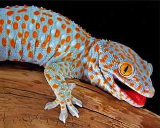 Tokay Gecko diamond painting