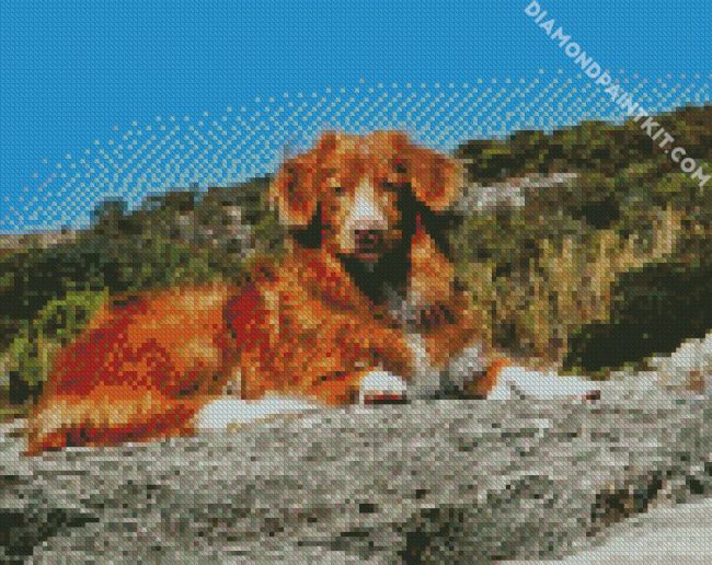 Toller Dog diamond painting