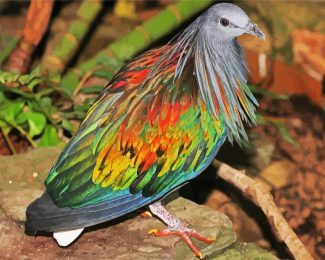 Tropical Pigeon Dove diamond painting