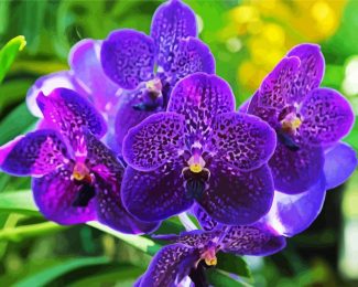 Vanda Orchid diamond painting