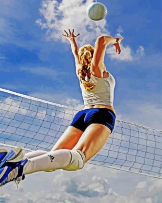 Volleyball Player diamond painting