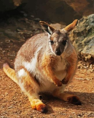 Wallaby diamond painting