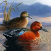 Waterfowl Bird Illustration diamond painting