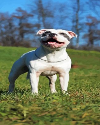 White Staffordshire Bull Terrier diamond painting