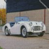 White Triumph diamond painting