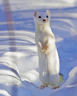 White Weasel diamond painting