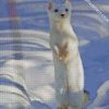 White Weasel diamond painting