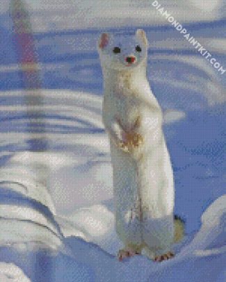 White Weasel diamond painting