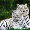 White Tigers diamond painting