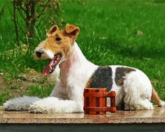 Wire Fox Terrier Dog diamond painting