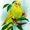 Yellow Budgerigar diamond painting