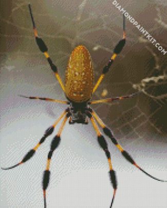 Yellow Spider diamond painting