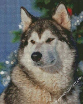 Alaskan Malamute diamond painting