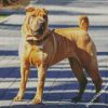 Chinese Shar Pei Standing On The Sidewalk diamond painting