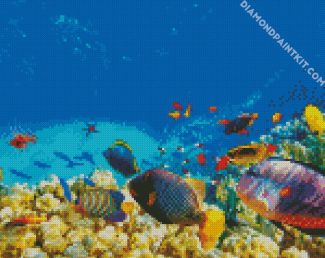 Reef Headquarters Aquarium Townsville diamond painting