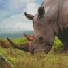 Rhinoceros diamond painting