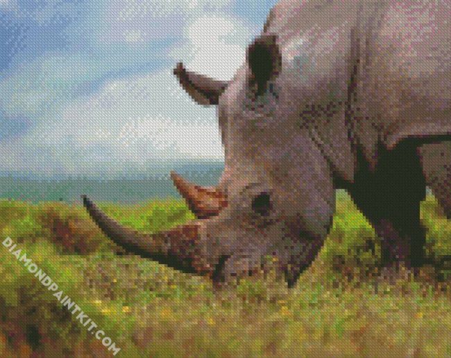 Rhinoceros diamond painting