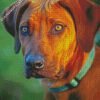 Ridgeback Animal diamond painting