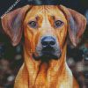 Ridgeback Dog diamond painting