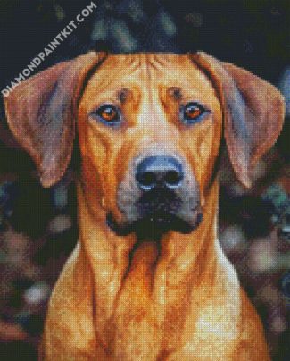 Ridgeback Dog diamond painting