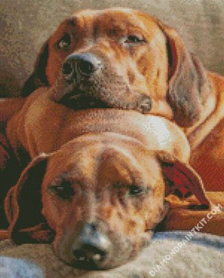 Ridgeback Puppies diamond painting