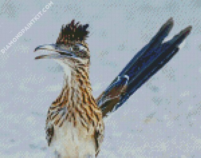 Road Runner diamond painting