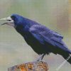 Rook Bird diamond painting