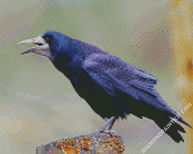 Rook Bird diamond painting