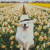 Samoyed Enjoying The Spring diamond painting