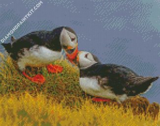 Seabirds diamond painting