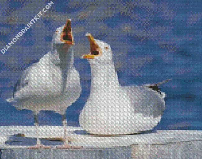 Seaguls diamond painting